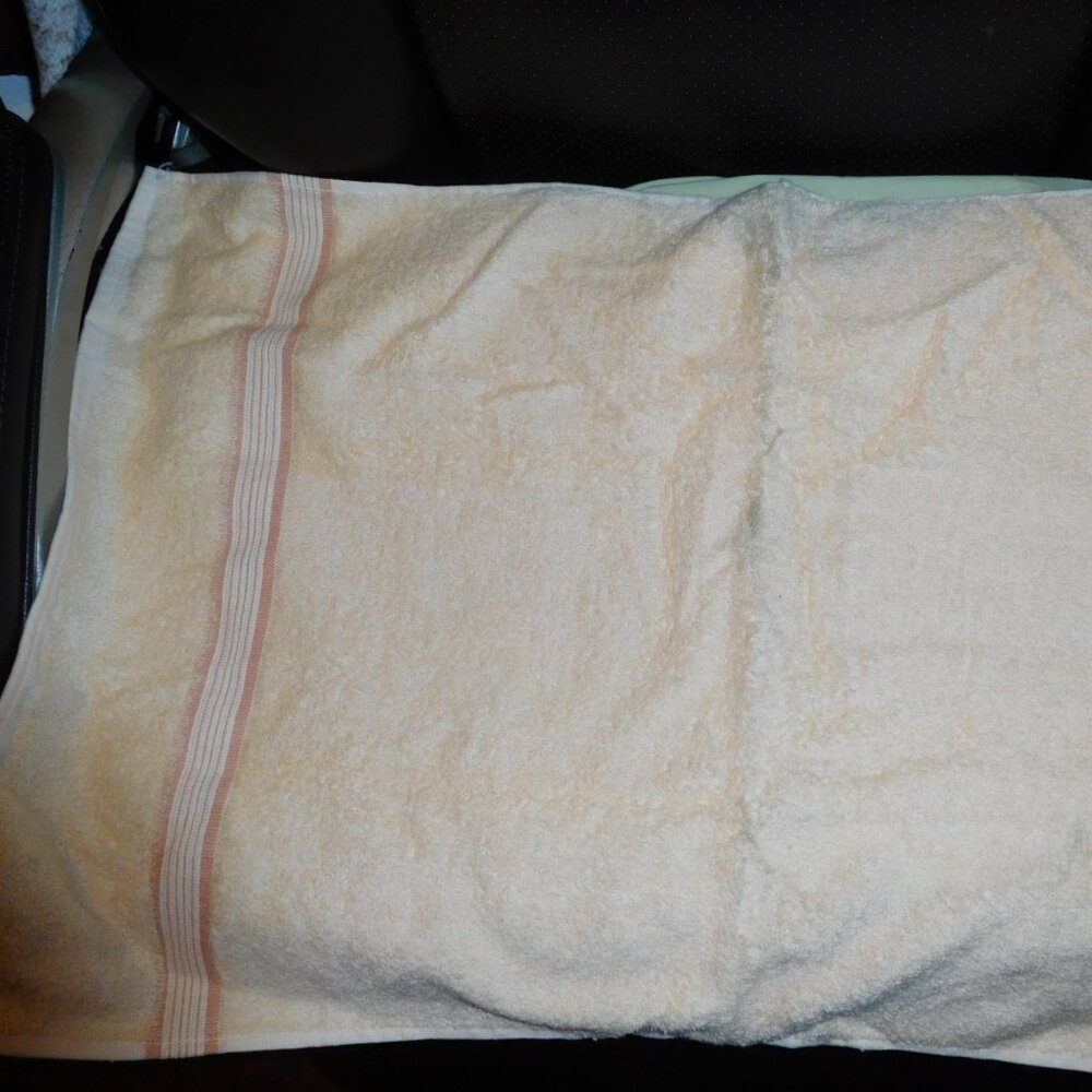 NOS CREAMY YELLOW SOLID BOARDEr HAND TOWEL CANNON USA MADE MCM